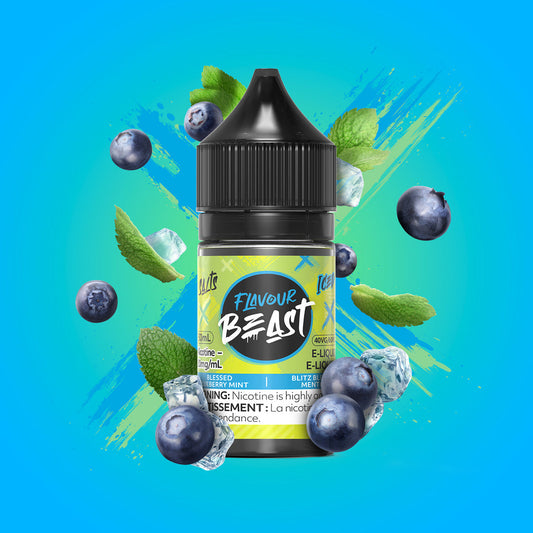 Flavour beast E-liquid Blessed Blueberry Mint Iced 10mg/ml 30ml(provincial)